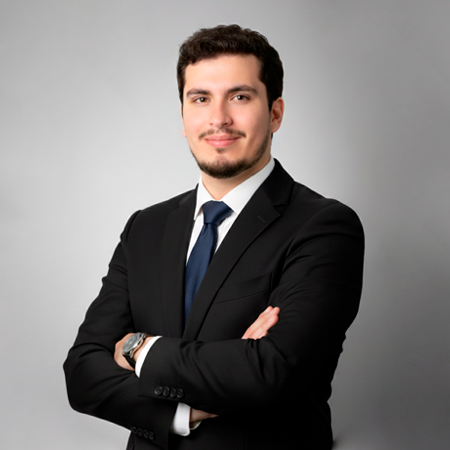 Consultor de negocios